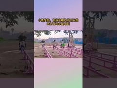 Τοποθεσία θέασης Μη ενεργοποιημένο εξοπλισμό διασκέδασης, Διαδικτυακή διασημότητα Little Pig Run Πάρκο διασκέδασης